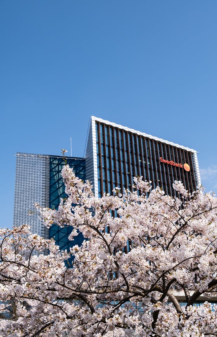 A stunning view of Swedbank building with cherry blossoms in Vilnius, Lithuania under a clear blue sky.